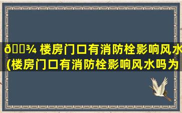 🌾 楼房门口有消防栓影响风水吗(楼房门口有消防栓影响风水吗为什么 🦍 )